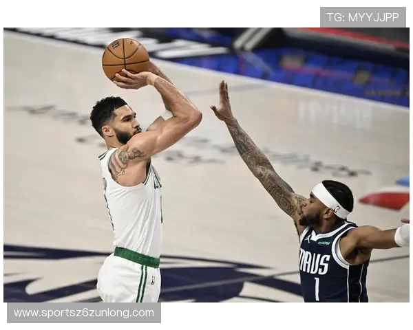 尊龙体育下载:用户评价与使用体验分享帮助你做出选择