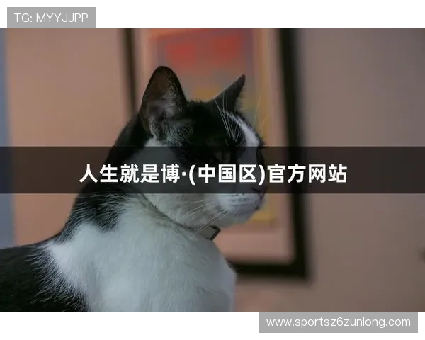 尊龙人生就是博电脑版登录遇到问题怎么办全面解决登录难题