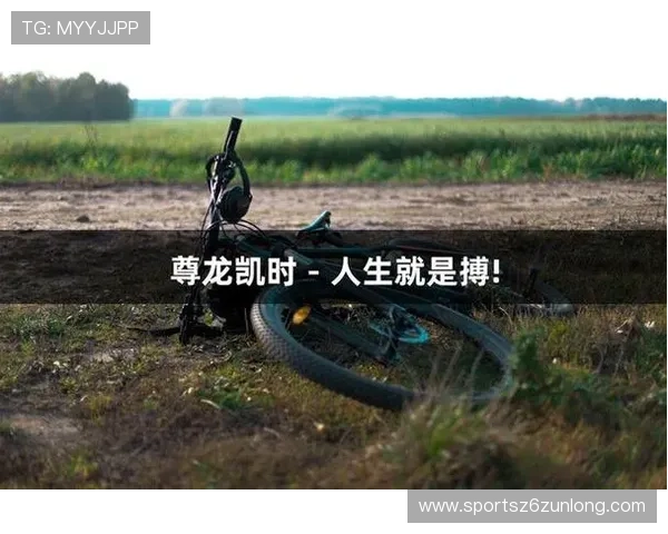 透过凯时尊龙的视角，探索人生拼搏的真谛与价值